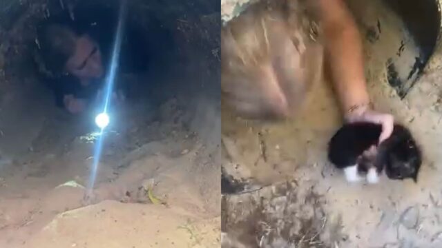 대학교 배수구에 용감하게 들어간 여성이 밖으로 가지고 나온 것..’소중한 생명’