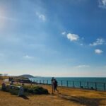 ‘제주도 사진 찍기 좋은 곳’ 막 찍어도 인스타 사진이 나오는 제주 명소 BEST 6