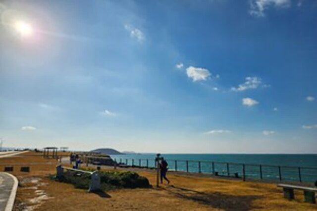 ‘제주도 사진 찍기 좋은 곳’ 막 찍어도 인스타 사진이 나오는 제주 명소 BEST 6