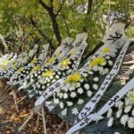 ‘식인종놀이 학폭’ 가해 학생 어머니, 이영경 성남시의원…분당 학부모들 뿔났다