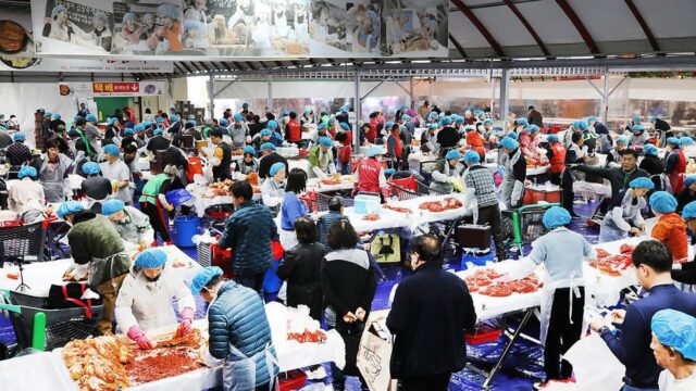 ‘금배추’ 김장도 담그고, 평창서 1박 여행도 하고