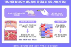 당뇨로 인한 배뇨장애, 줄기세포로 치료