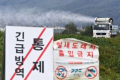 질병청, 조류인플루엔자 감시 강화…인체감염 예방조치