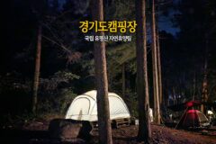 경기도 캠핑장 국립 유명산 자연휴양림