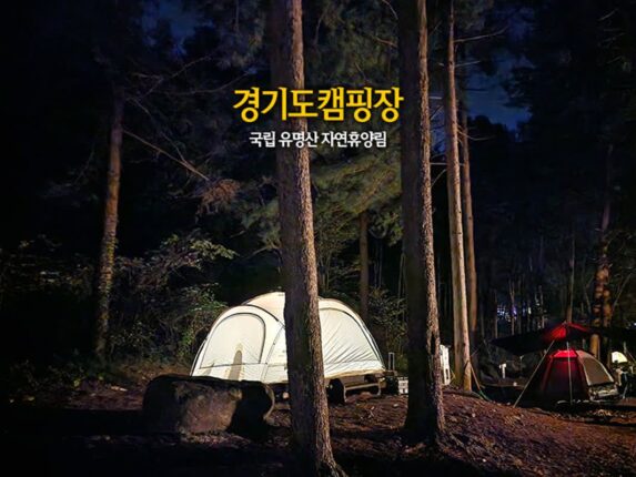 경기도 캠핑장 국립 유명산 자연휴양림