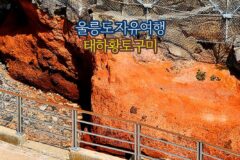 울릉도 자유여행 태하 황토구미 국가지질공원암석