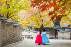 “덕수궁 돌담길 따라 가을 단풍 즐겨볼까?” 가을 명소로 꼭 들러야할 서울 여행지
