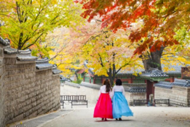 “덕수궁 돌담길 따라 가을 단풍 즐겨볼까?” 가을 명소로 꼭 들러야할 서울 여행지
