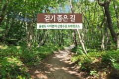 걷기 좋은 길 울릉도 나리분지 신령수길 트레킹코스
