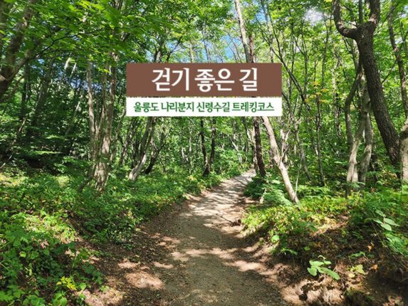 걷기 좋은 길 울릉도 나리분지 신령수길 트레킹코스