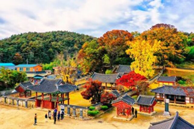 “힐링 여행으로 정읍 여행, 어떠신가요?” 1박 2일 여행 코스로 전북 정읍 여행 떠나기
