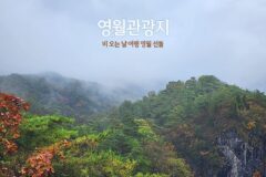 영월 관광지 비 오는 날 여행 영월 선돌