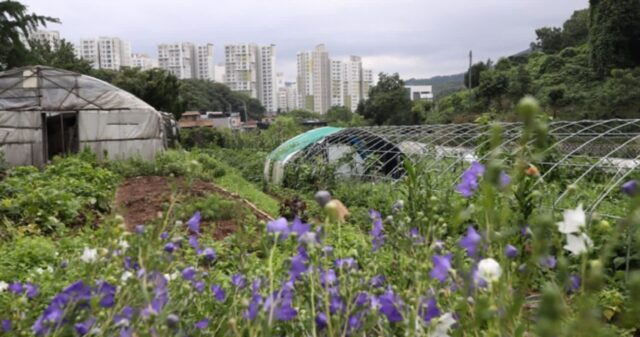 “직원 전수조사·이상거래 선별”…수도권 신규택지 투기방지책 보니