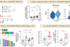 KAIST “난치성 뇌종양 치료 새 가능성 열어”