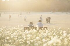 ‘서울 공원 베스트 5 추천’ 외국인 관광객도 꼭 들린다는 힐링 서울 여행지