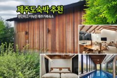제주도 숙박 추천 편안하고 아늑한 제주 가족 숙소