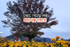 강원도 1박 2일 여행 화천 가볼 만한 곳 백암산 케이블카 포함