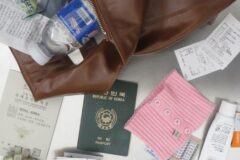 한국 패치 완료된 왓츠인마이백 최신 근황