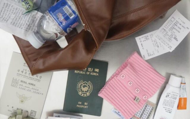 한국 패치 완료된 왓츠인마이백 최신 근황