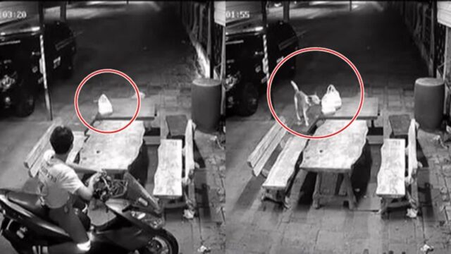 사람 구하는 구조대원 ‘도시락’ 훔쳐간 도둑, CCTV로 확인했더니…’이럴 수가’