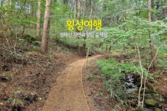 횡성 여행 국립 청태산 자연휴양림 숲 체험