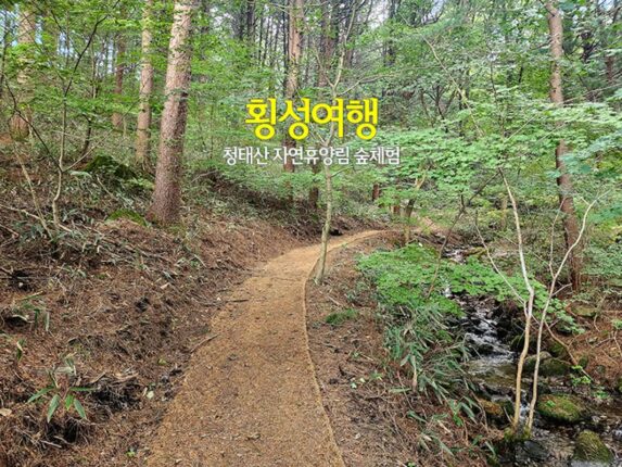 횡성 여행 국립 청태산 자연휴양림 숲 체험