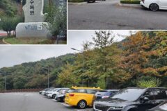 충남 가볼 만한 곳 보령 여행 보령 무궁화 수목원