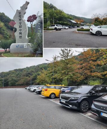 충남 가볼 만한 곳 보령 여행 보령 무궁화 수목원