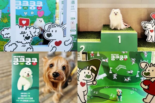 한국베링거인겔하임동물약품, ‘킁킁쿵쿵 캠페인’ 성료