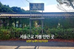 서울근교 가볼 만한 곳 남양주 능내역 자전거 천국