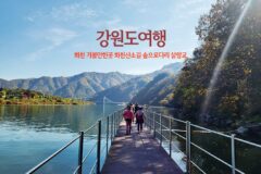 강원도 여행 화천 가볼만한곳 화천 산소길 숲으로 다리 살랑교