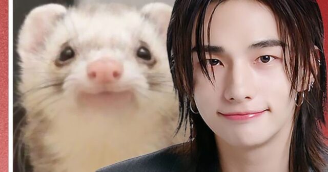 어떻게 사람이 족제비? 스트레이 키즈 현진의 짤터뷰
