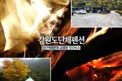 강원도단체펜션 정선애펜션 & 글램핑 정선 숙소