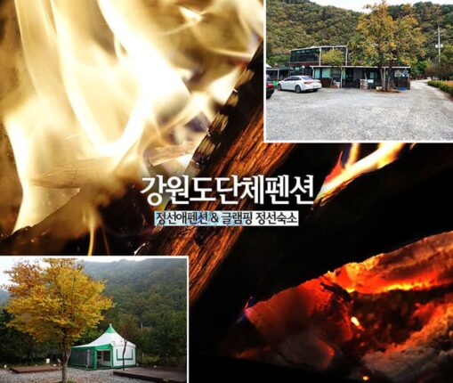 강원도단체펜션 정선애펜션 & 글램핑 정선 숙소