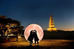 ‘충주 가볼 만한 곳’ 서울 근교 드라이브로 만나는 충주 여행