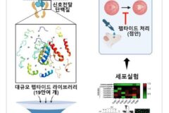 KIST, 점안 투여 가능한 새 건성 황반변성 치료 물질 개발