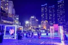 2024 해운대 빛축제… 겨울 밤을 물들이는 환상적인 빛의 물결