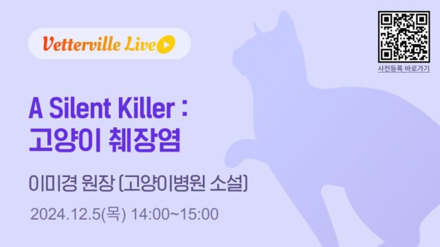 베터빌, ‘고양이 췌장염’ 주제로 오는 5일 라이브 세미나 개최