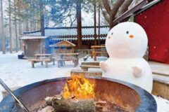 춘천 남이섬에서 출발하는 겨울 왕국… 2024 Winter Wonder NamiIsland