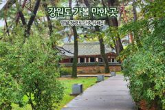 강원도 가볼 만한 곳 영월 청령포 단종 유배지