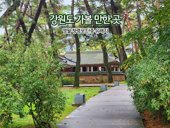 강원도 가볼 만한 곳 영월 청령포 단종 유배지