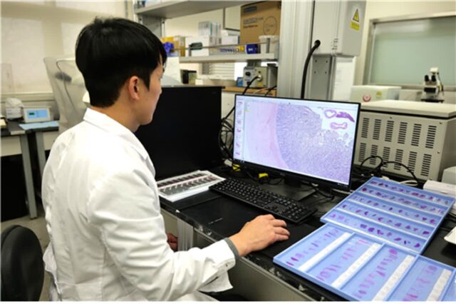 서울시, 부검으로 동물 학대 밝혀낸다…’수의법의검사’ 운영
