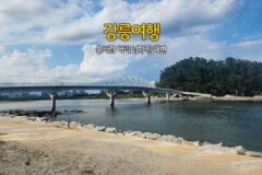 강릉여행 솔바람 다리 남항진 해변 강릉 아라나비 하늘자전거