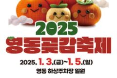 새해를 알리는 충북 영동… 겨울의 맛과 즐거움을 담은 2025 영동곶감축제로 놀러 오세요!