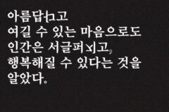 요즘 책 세대가 꼽은 ‘나의 문장’