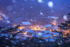 설경이 아름다운 사찰 4곳 추천, 고요함 속에서 만나는 동화 속 겨울 풍경