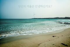 초겨울 제주여행 겨울바다로의 초대