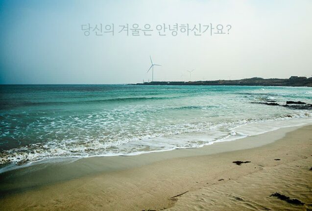 초겨울 제주여행 겨울바다로의 초대