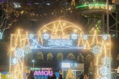 2024 대구 앞산 크리스마스 축제··· “겨울 정원과 빛의 향연으로 대구를 물들이다”