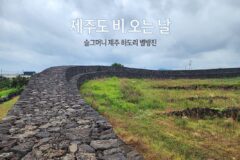제주도 비 오는 날 슬그머니 제주 하도리 별방진